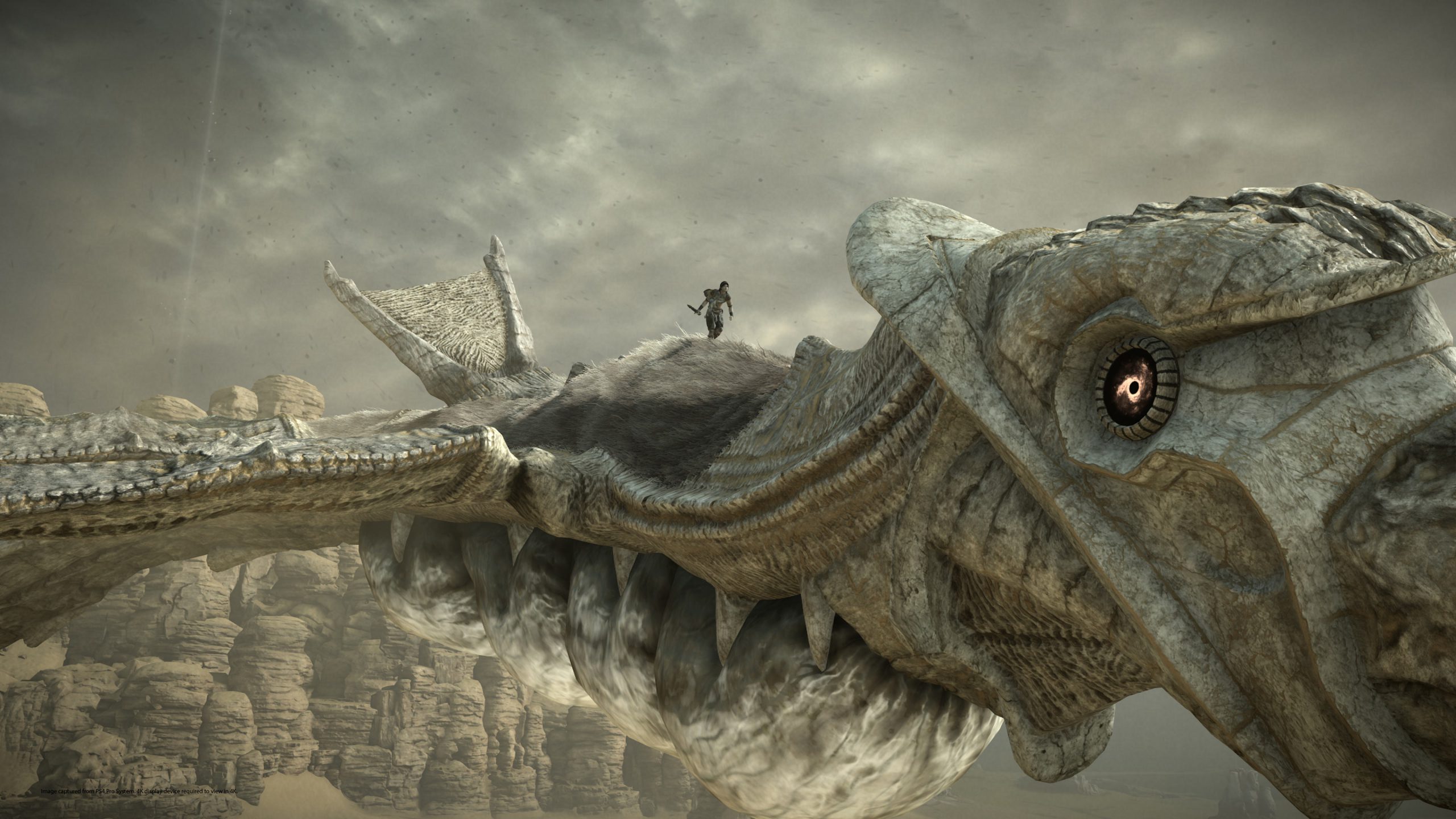 Shadow of the Colossus PS4 image 04