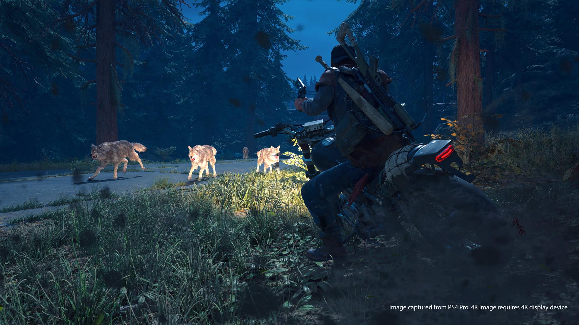 Days Gone image 2