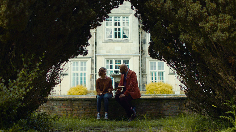 ERICA review image 2