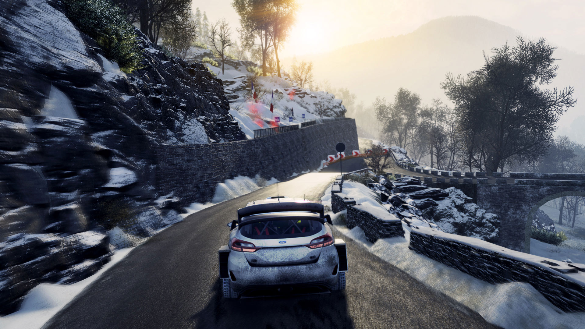 WRC 8 review 6