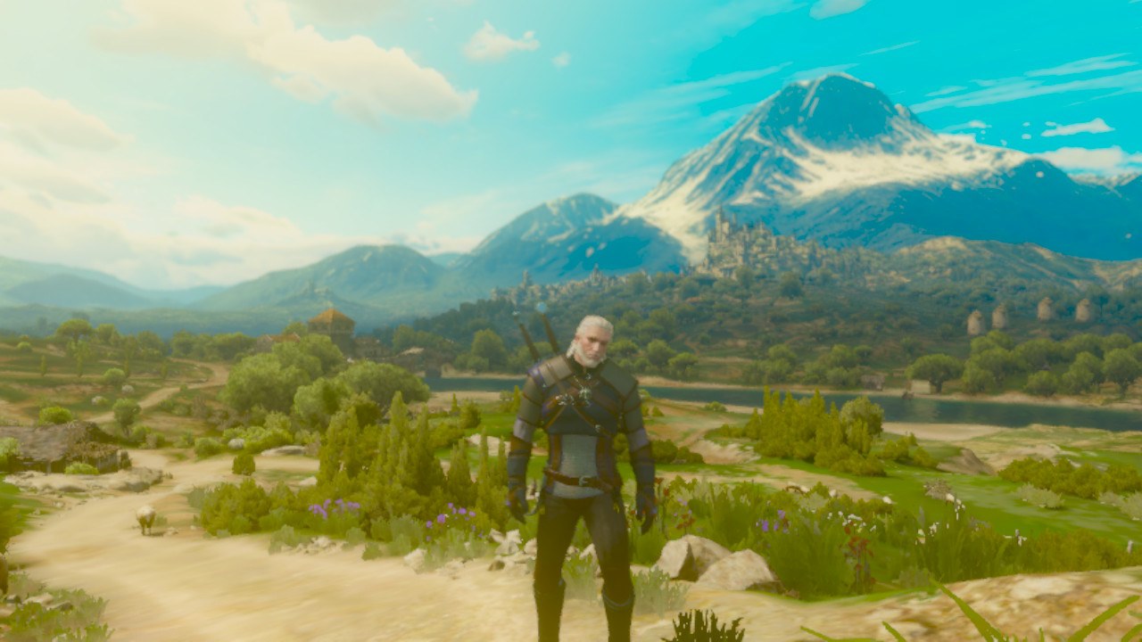 The Witcher 3 Nintendo Switch review 24