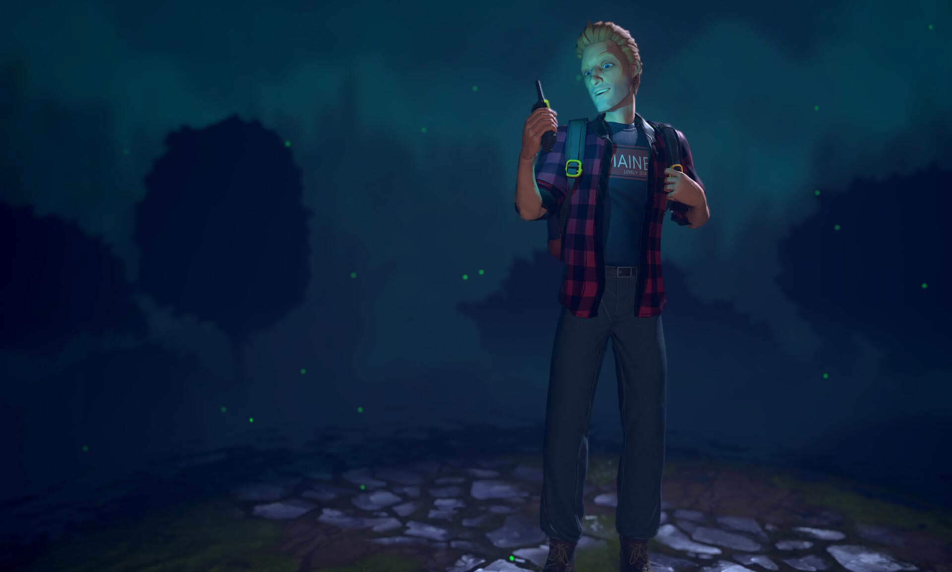 Lost Brothers image 1