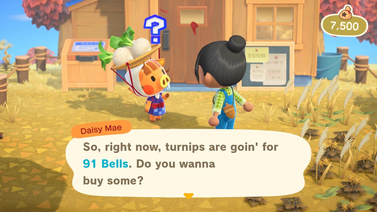 Animal Crossing New Horizons image 3