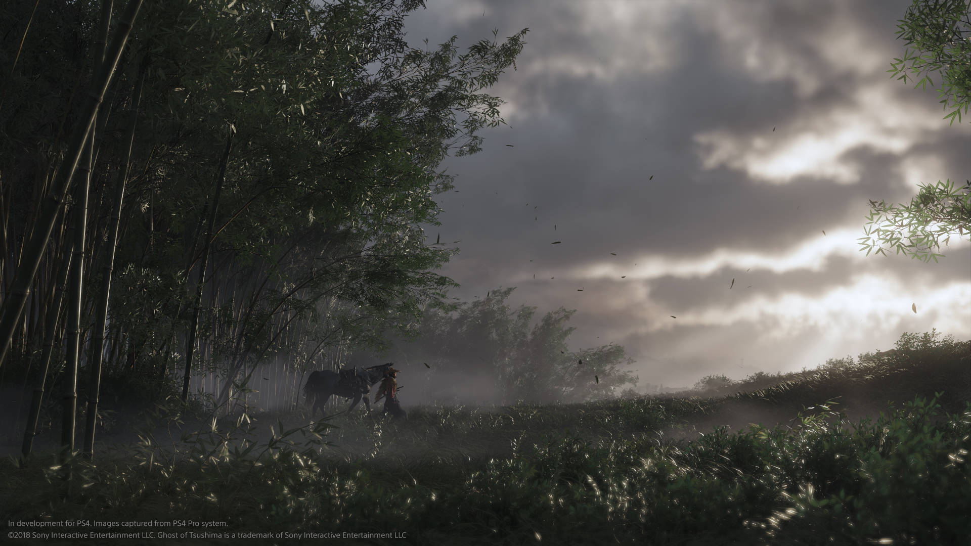 Ghost of Tsushima image 3